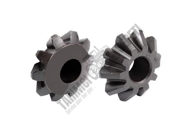 İSTAVROZ DİŞLİSİ KÜÇÜK EM