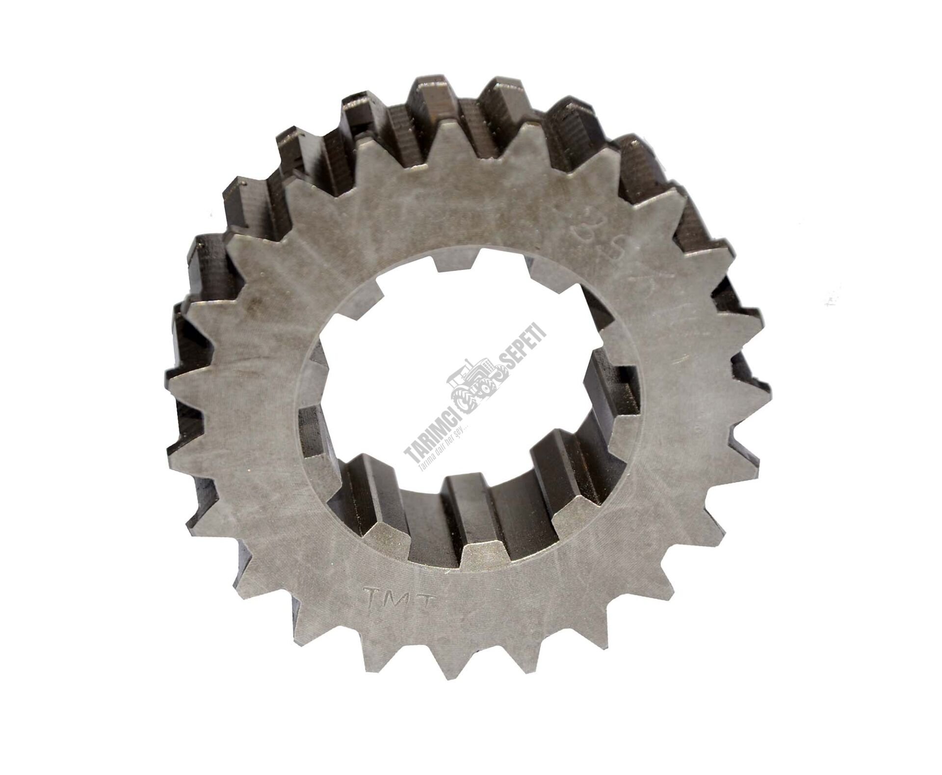 AYNA MAHRUTİ SIÇAN DİŞLİ