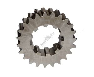 AYNA MAHRUTİ SIÇAN DİŞLİ