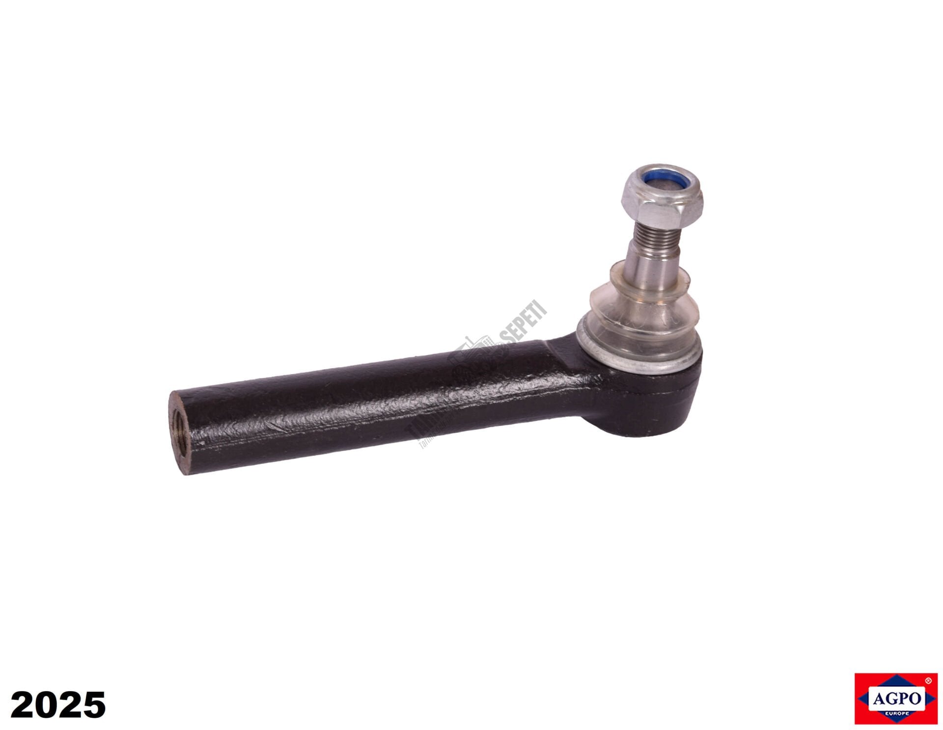 DİŞİ ROT 1.KALİTE