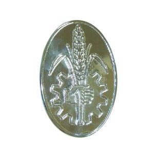 ÖN OVAL AMBLEM (KROM NİKEL SAC)