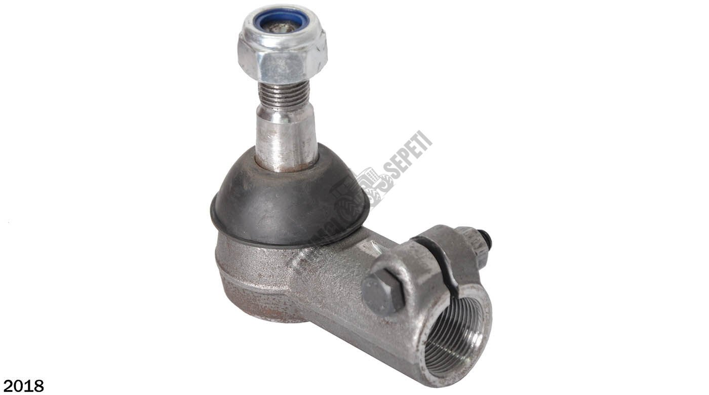 O.123- ROT BAŞI KISA,DİŞİ