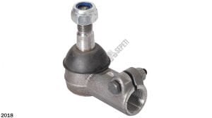 O.123- ROT BAŞI KISA,DİŞİ