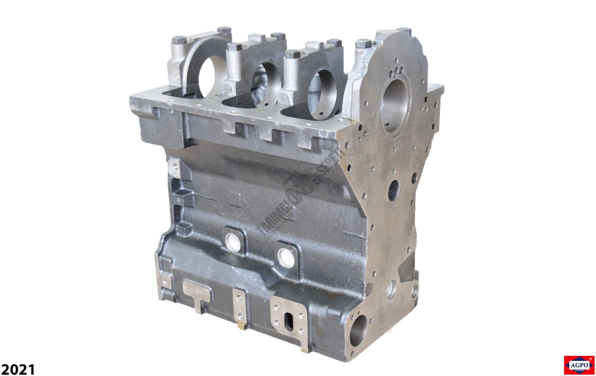 MOTOR BLOK EM FİTİLLİ TİP (3.152 ENG)