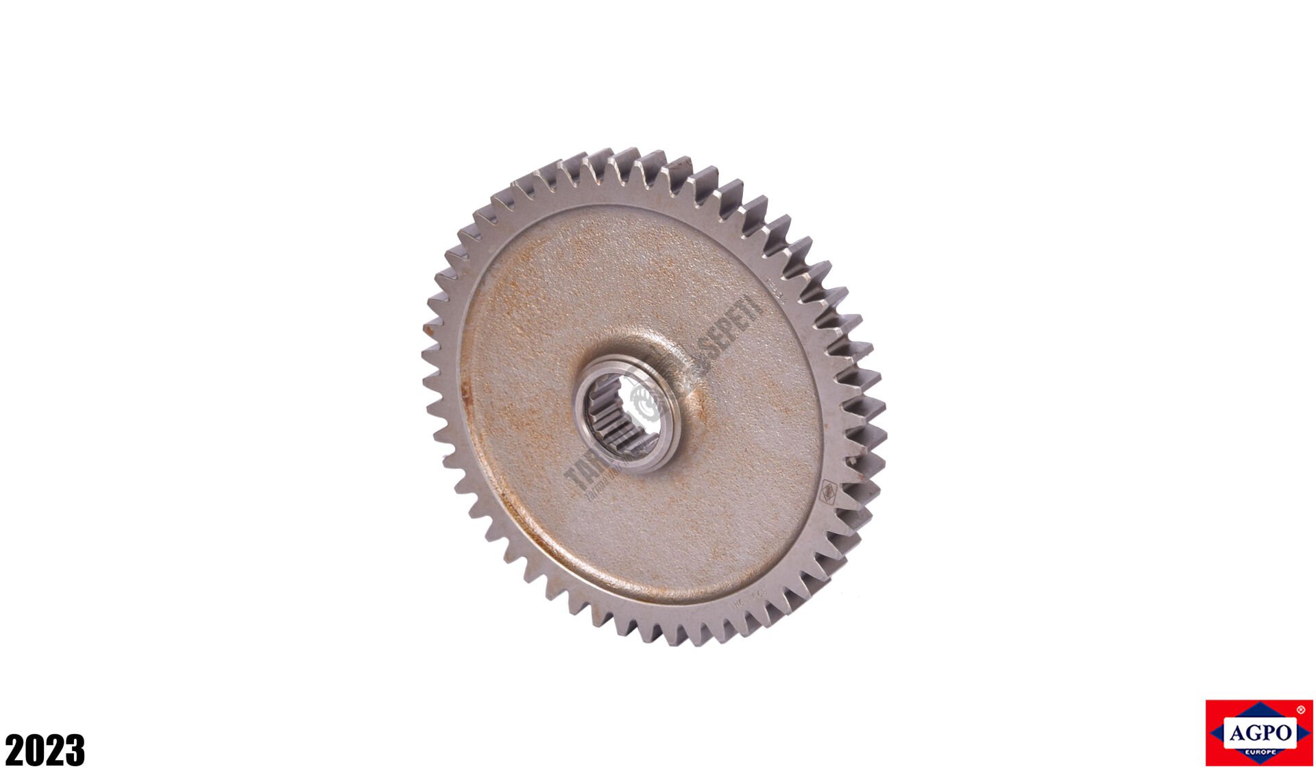 DAİMİ İŞTİRAK DİŞLİ K.FRZ.