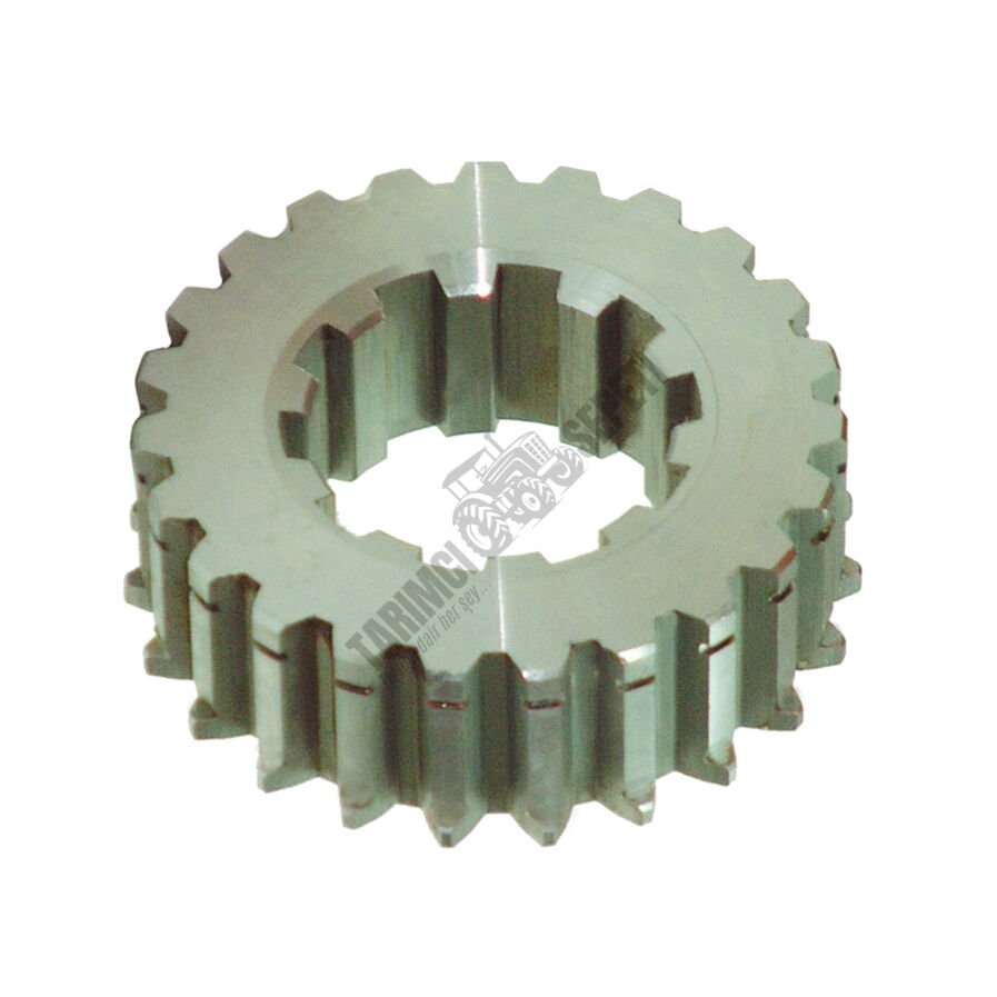 AYNA MAHRUTİ SIÇAN DİŞLİ 23/10 DİŞ