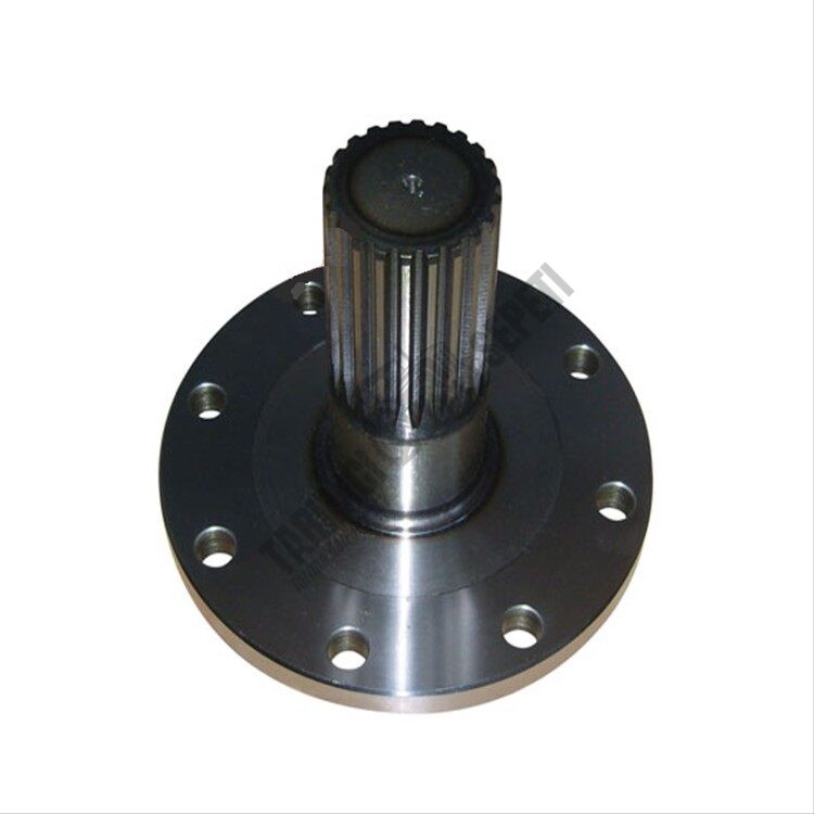 ARKA KISA AKS DÖVME