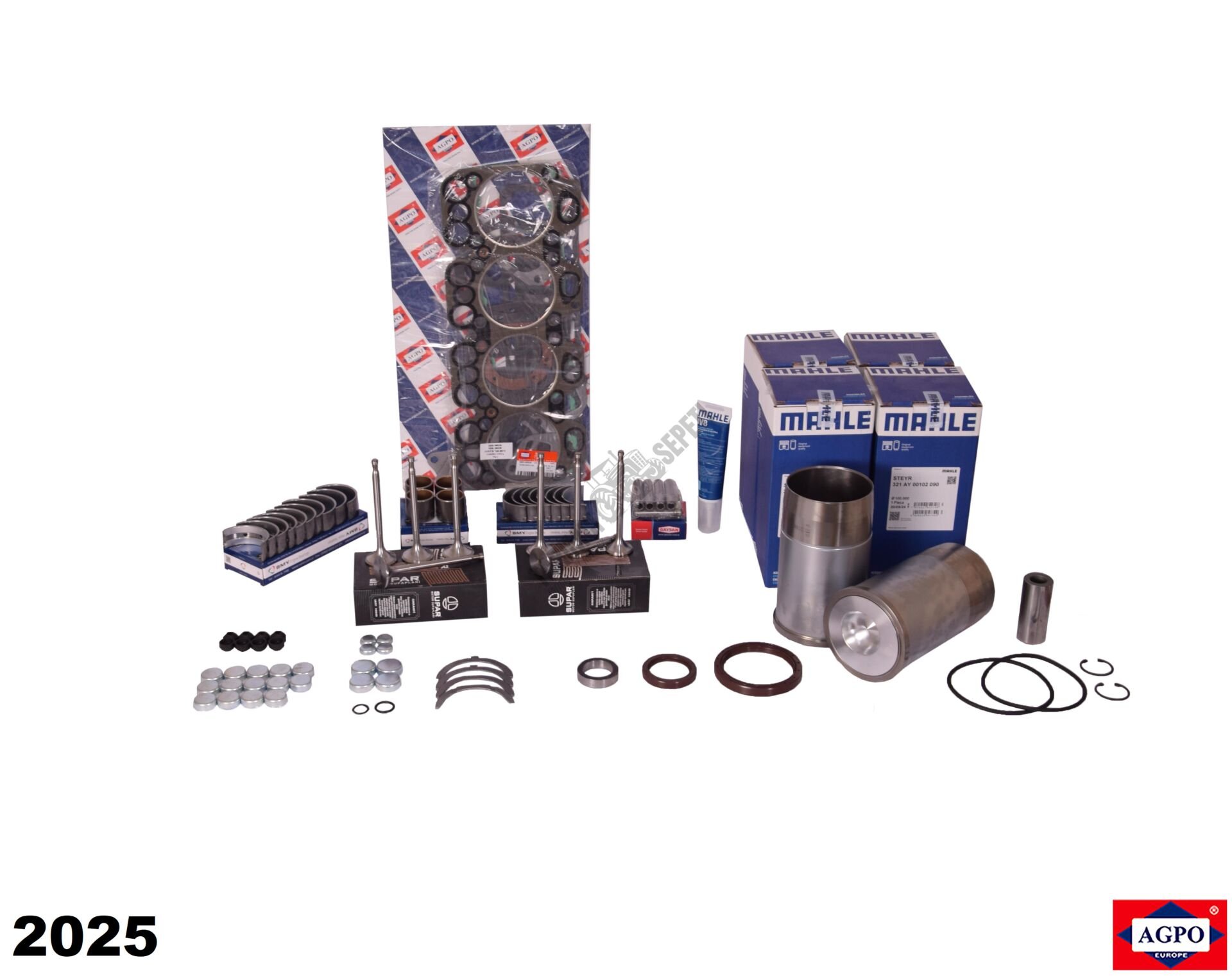 MOTOR REKTİFİYE KİTİ ( 0,25 YATAKLI VE 0,5 SUPAPLI 4 SİL.