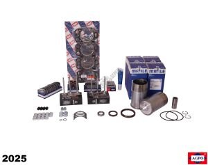 MOTOR REKTİFİYE KİTİ ( 0,25 YATAKLI VE 0,5 SUPAPLI 4 SİL.