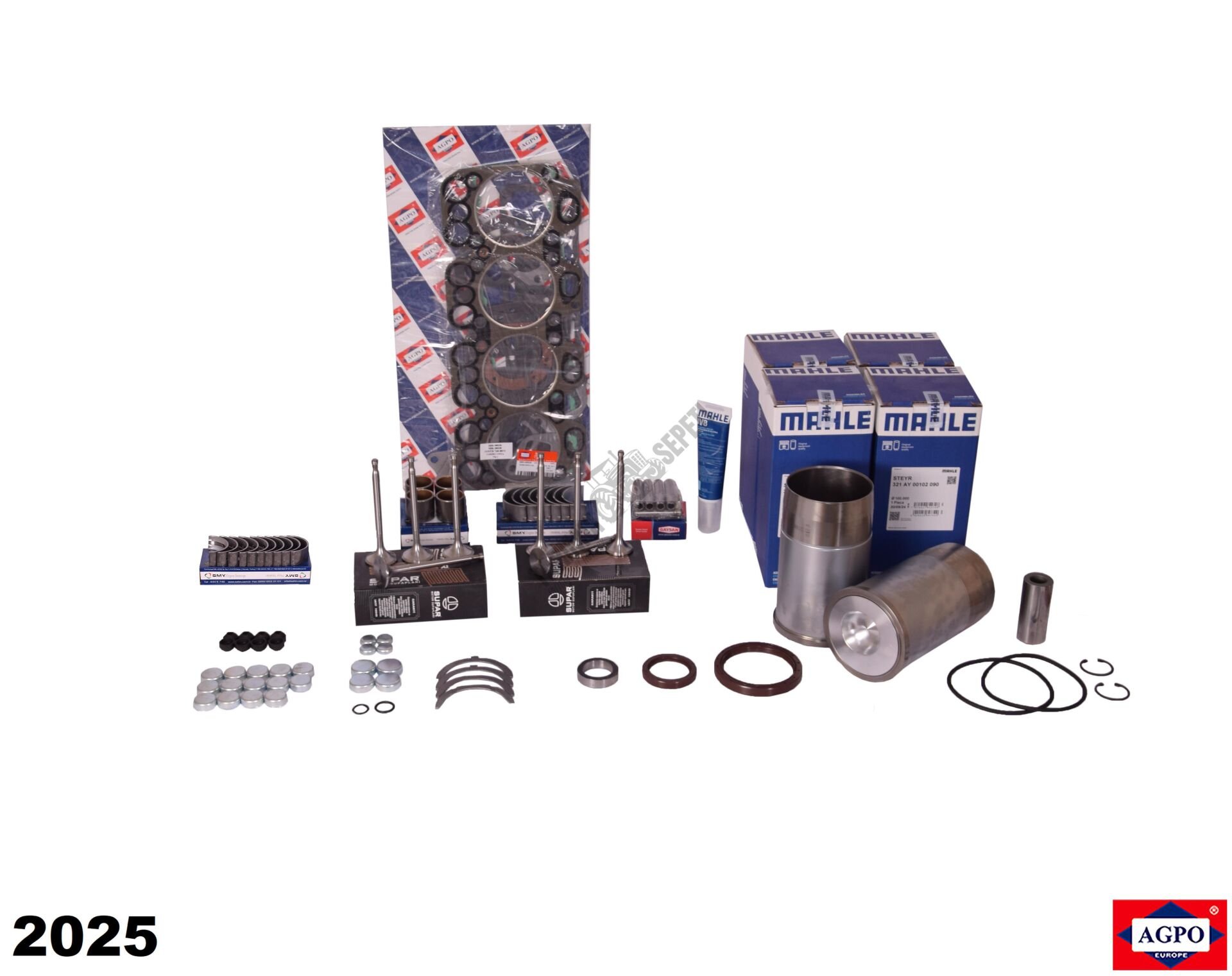MOTOR REKTİFİYE KİTİ STD YATAKLI 0,5 SUPAPLI 4 SİL