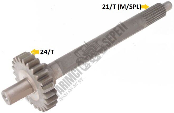 SENK.PRİZDİREK MEMELİ 21-24/T 8.VİT.