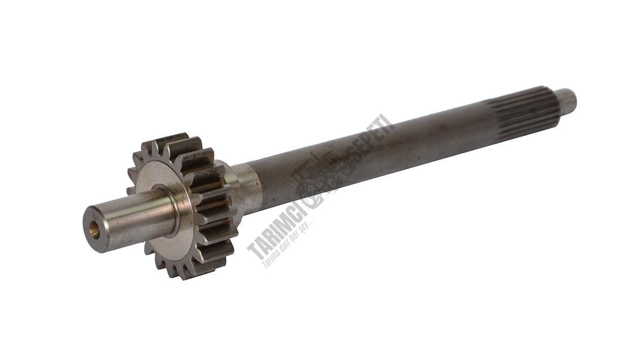 SENK.PRİZDİREK MEMELİ 21-19/T 8.VİT.