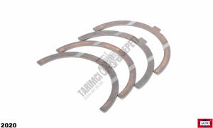 KRANK GEZİ AYI STD TK