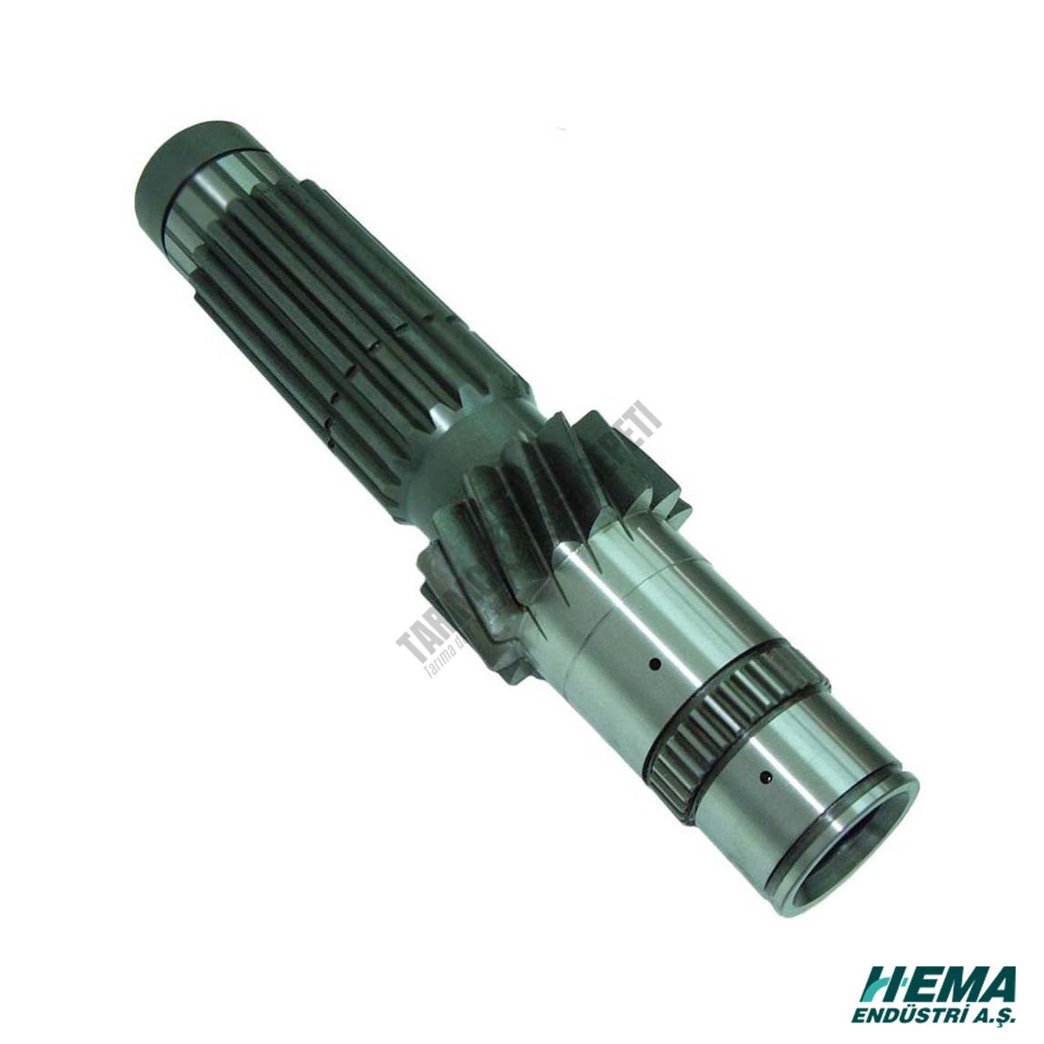 SENK.GRUP MİLİ 12 VİTES