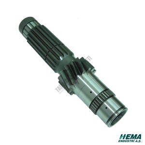 SENK.GRUP MİLİ 12 VİTES