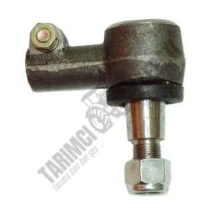 DİŞİ ROT BAŞI KISA KULAKLI FD 103