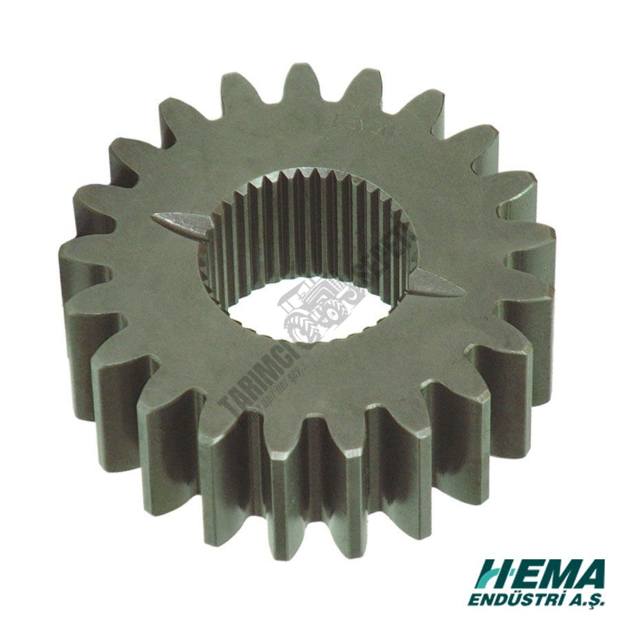 CER GÜNEŞ DİŞLİ