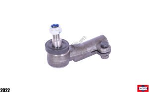 DİŞİ ROT YILAN BAŞLI