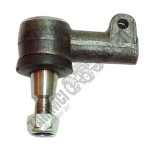 DİŞİ ROT BAŞI KISA DÜZ KULAKLI