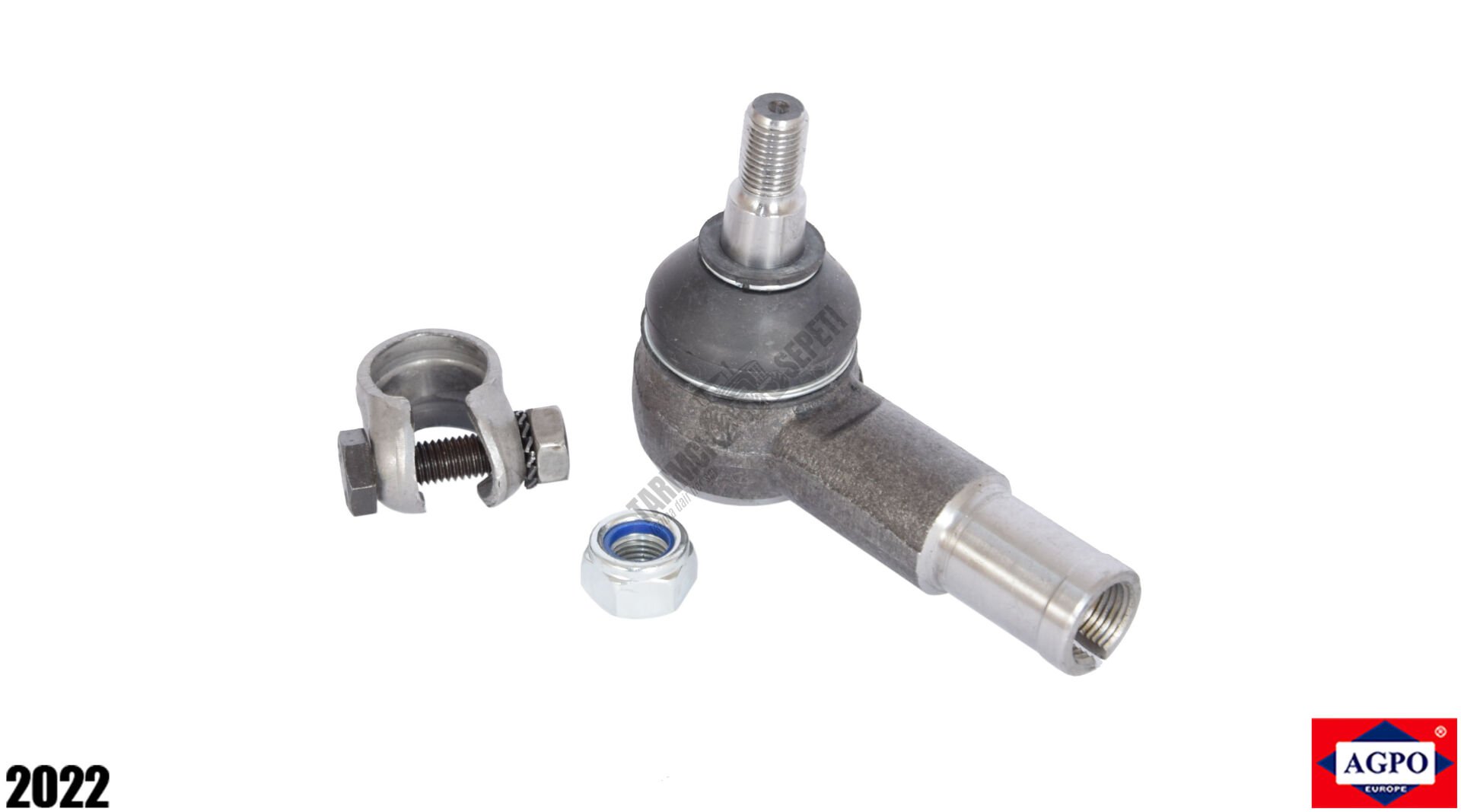 DİŞİ ROT BAŞI KELEPÇELİ