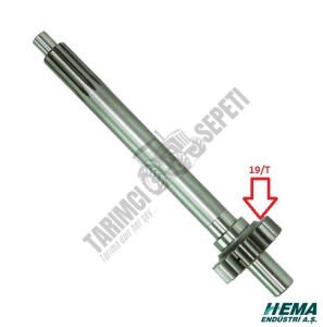 SENK.PRİZDİREK MEMELİ 19/T 8.VİT.