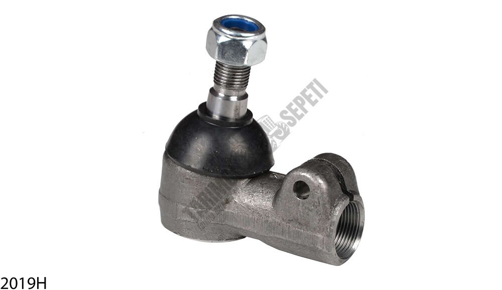 DİŞİ ROT KISA OLAN Q123