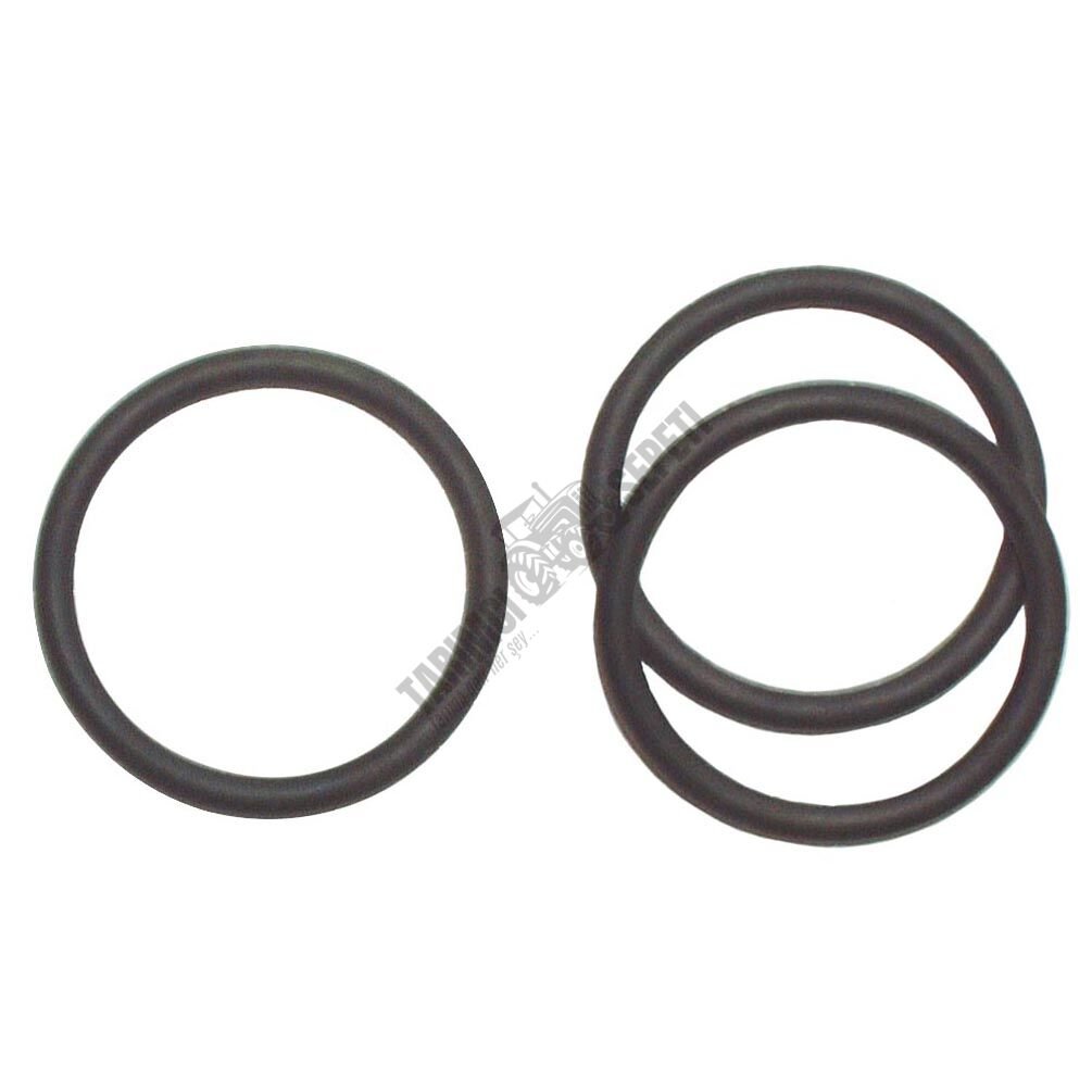 VİTES KOL YUVA O'RİNGİ 27x24M