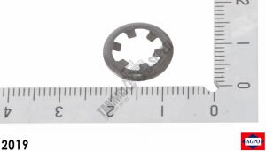 ÖN ARMA ARKA SEGMANI (KLİPSİ) YM