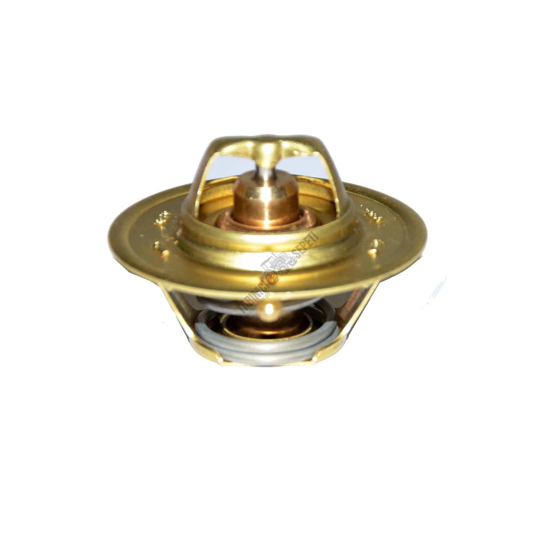 TERMOSTAT 60.C