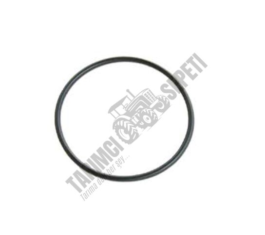 MAZOT POMPA O'RİNGİ 85x2
