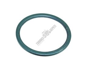 GERİ VİTES İNCE PULU