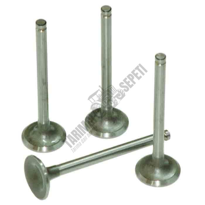 SUPAP EGZOZ ÇUKUR 0.5 (KABA)