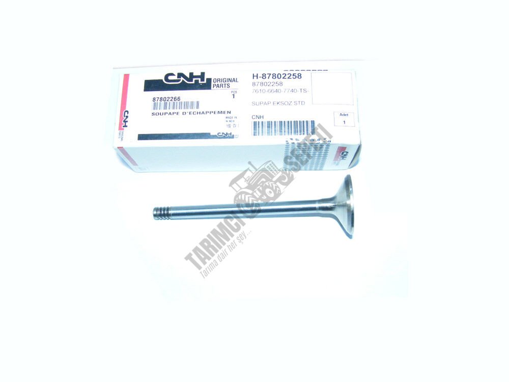 SUPAP EGZOZ STD 3 TIRNAK