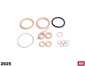 PANCAR MOTOR E89 11HP. ORİNG LASTİK TAMİR TAKIMI