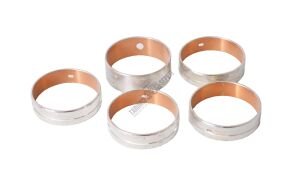 EKSANTRİK MİL BURCU YATAĞI (5 PARÇA)