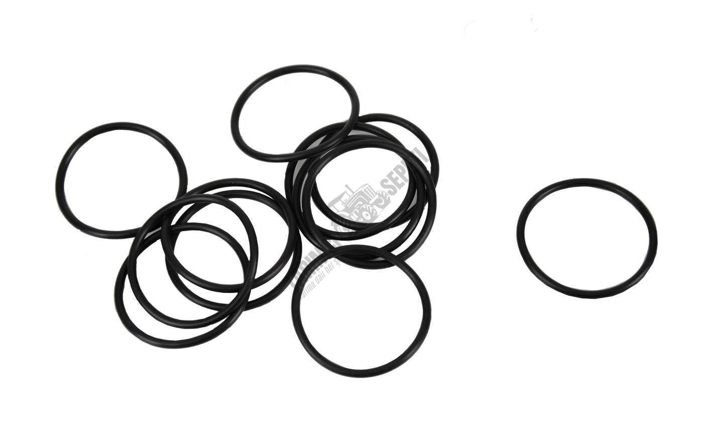 DİR.SEKTÖR O-RİNGİ