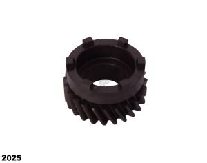 YAVRU ŞANZIMAN DİŞLİSİ