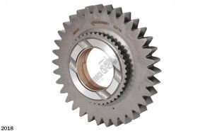 SENK. ŞANZIMAN TAVŞAN DİŞLİ 34 DİŞ BURCLU