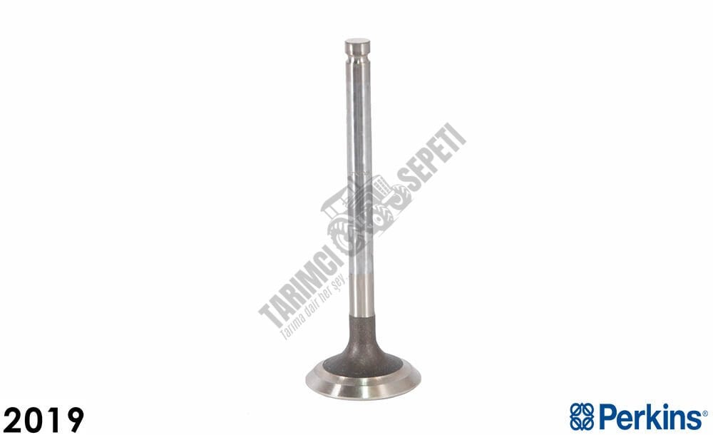 SUPAP EGZOZ 45 DERECE