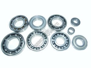 ŞANZIMAN BİLYA SETİ ( 9 ADET )