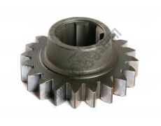 SENK.PRİZDİREK PİNYON YAVAŞ DİŞ 20.DİŞ 12 VİT.