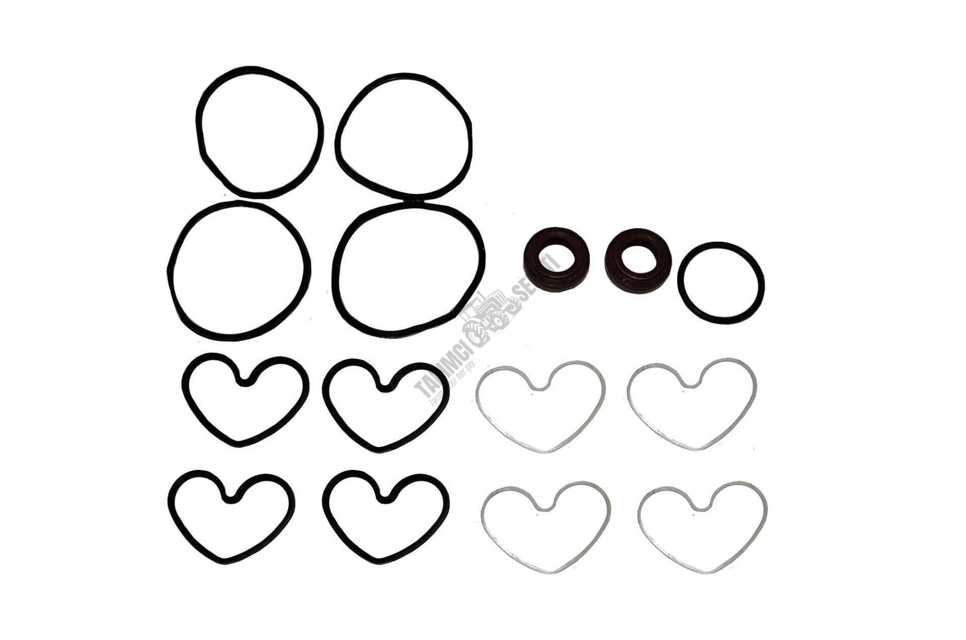 HİD.DİR.TANDEM POMPA TM TK.