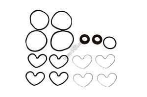 HİD.DİR.TANDEM POMPA TM TK.