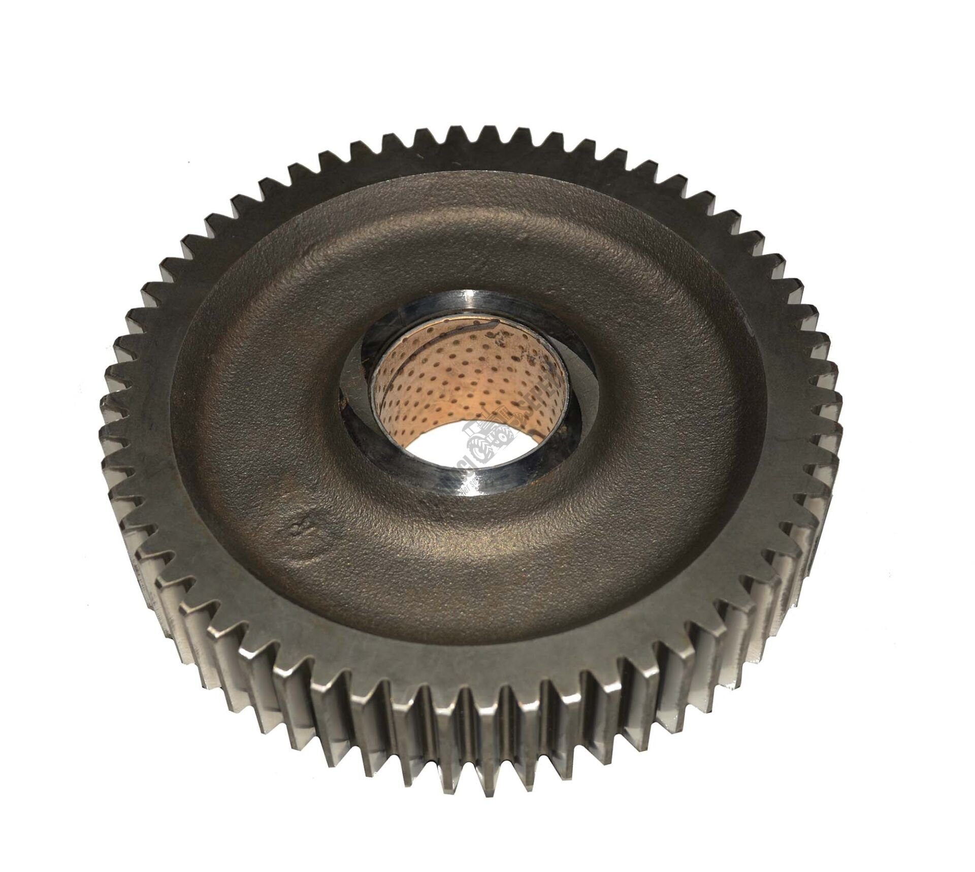 ŞANZIMAN DİŞLİSİ -60. DİŞ