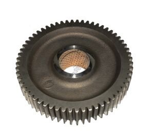 ŞANZIMAN DİŞLİSİ -60. DİŞ