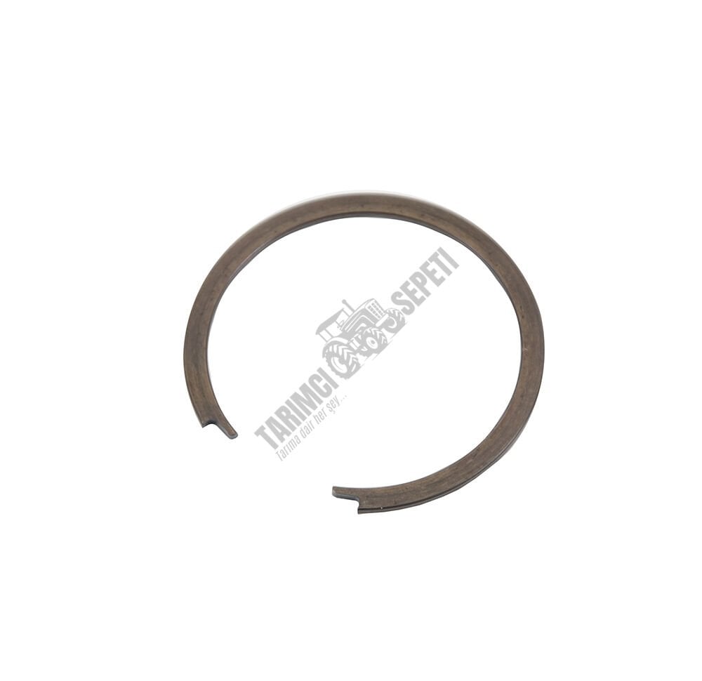 ŞANZIMAN PRİZDİREK SEGMANI