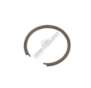 ŞANZIMAN PRİZDİREK SEGMANI