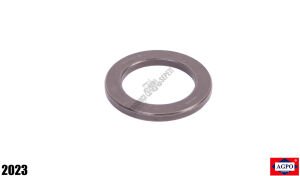 KARİYER DİŞLİ PİM HALKA PUL (ÇELİK KALIN)