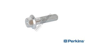 EKSANTRİK MİL CIVATASI