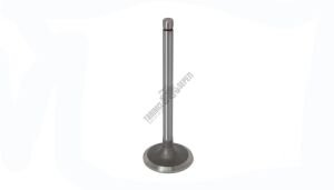 SUPAP STD EMME TEK TIRNAK IN